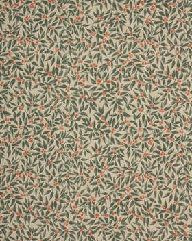 Ashridge Fabric / Green / Coral