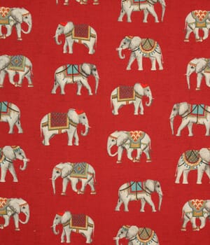 Odisha Fabric