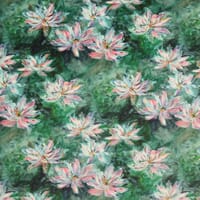 Waterlily Velvet Fabric / Green