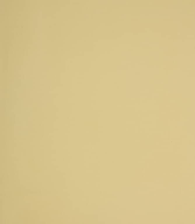 Coloured Linings Fabric / Melon