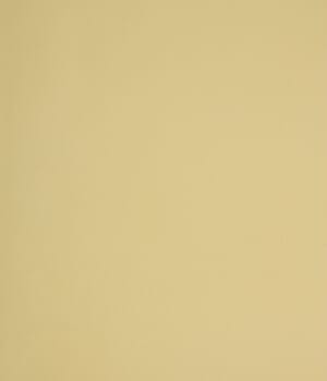 Coloured Linings Fabric / Melon Coloured Linings Fabric / Melon