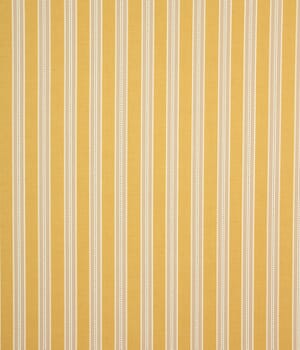 Daisy Stripe Fabric