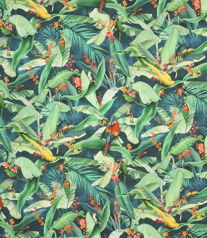 Navy Tropical Parrots  Fabric