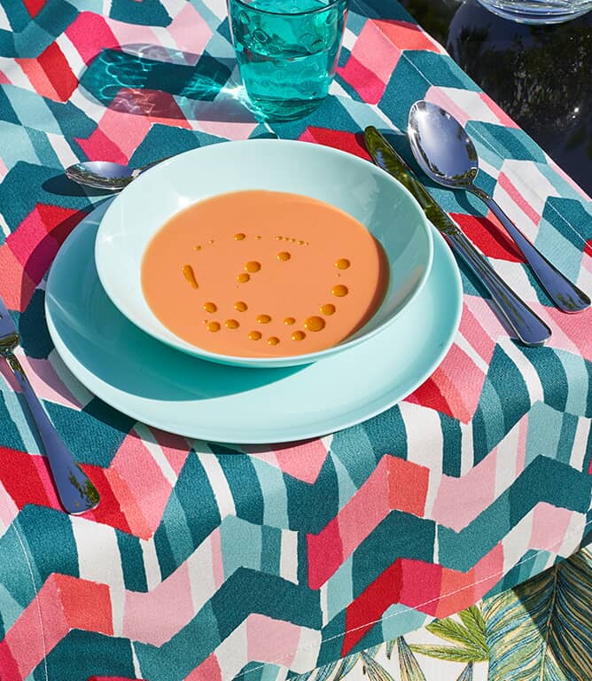 Zig Zag Outdoor Fabric / Multi